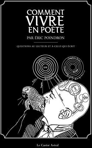 Comment Vivre En Poète : 300 Questions Au Lecteur Et À Celui Qui Écrit