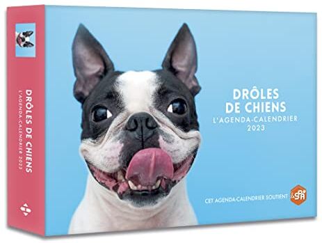 Audrey Messiaen Agenda - Calendrier Drôles De Chiens 2023