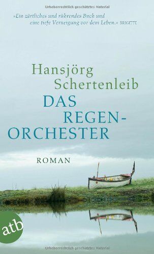 Hansjörg Schertenleib Das Regenorchester: Roman