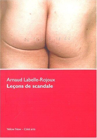 Arnaud Labelle-Rojoux. Leçons De Scandale: Un Très Beau Sujet De Thèse
