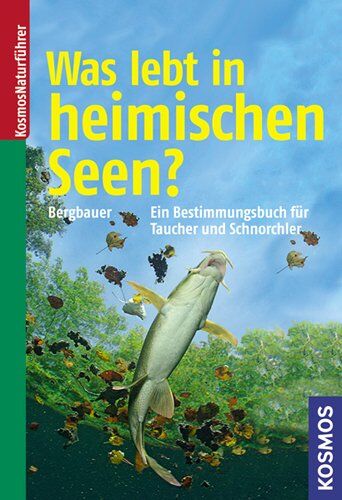 Matthias Bergbauer Was Lebt In Heimischen Seen?: Ein immungsbuch Für Taucher Und Schnorchler