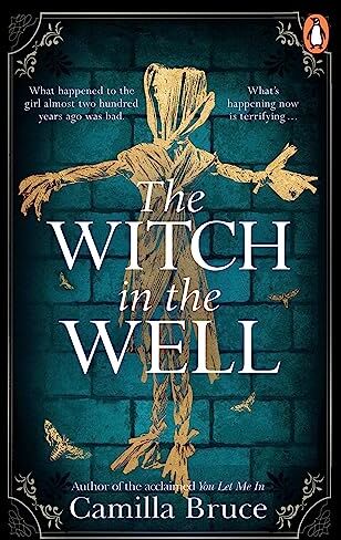 Camilla Bruce The Witch In The Well: A Deliciously Disturbing Gothic Tale Of A Revenge Reaching Out Across The Years