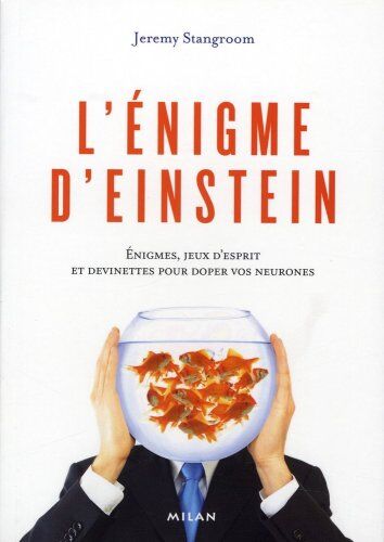 Jeremy Stangroom L'Énigme D'Einstein : Enigmes, Jeux D'Esprit Et Devinettes Pour Doper Vos Neurones