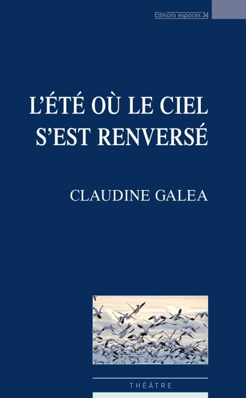 Claudine Galéa L'Été Où Le Ciel S'Est Renversé