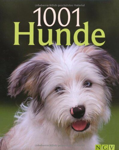 Dr. Beate Ralston 1001 Hunde