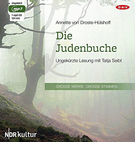 Droste-Hülshoff, Annette von Die Judenbuche: Ungekürzte Lesung Mit Tatja Seibt (1 Mp3-Cd)