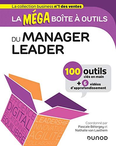 Collectif La Méga Boîte À Outils Du Manager Leader : 100 Outils