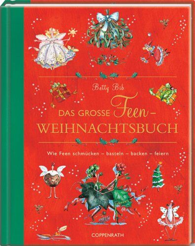 Betty Bib Das Große Feen-Weihnachtsbuch