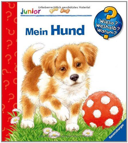 Patricia Mennen Wieso? Weshalb? Warum? - Junior 41: Mein Hund