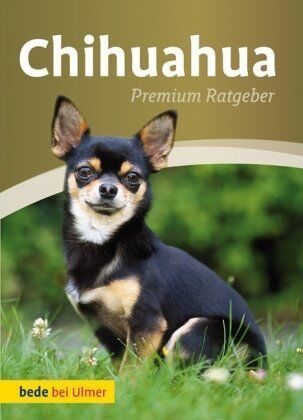 Annette Schmitt Chihuahua: Premium Ratgeber