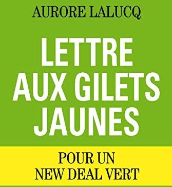 Lettre Aux Gilets Jaunes : Pour Un  Deal Vert