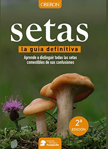 Calvo Pérez, Aitor . . . [et al. Setas (Libros Singulares)