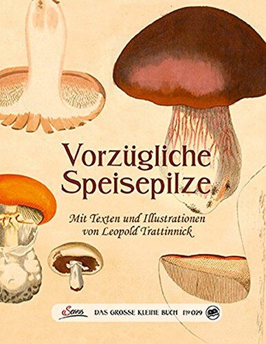 Das Große Kleine Buch: Vorzügliche Speisepilze