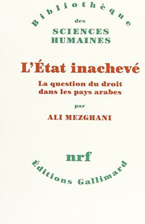 Ali Mezghani L'Etat Inachevé : La Question Du Droit Dans Les Pays Arabes