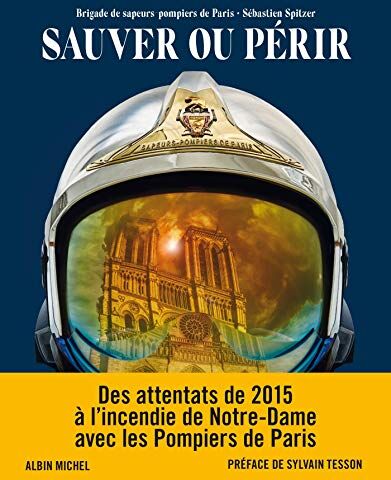 Sauver Ou Périr : Des Attentats De 2015 À Notre-Dame, Avec Les Pompiers De Paris