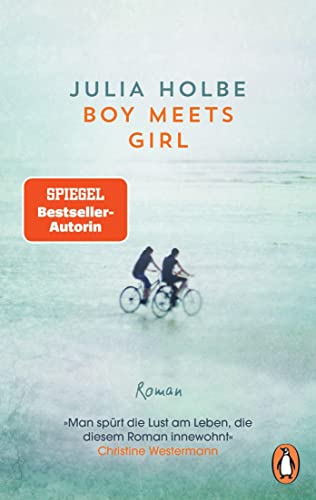 Julia Holbe Boy Meets Girl: Roman