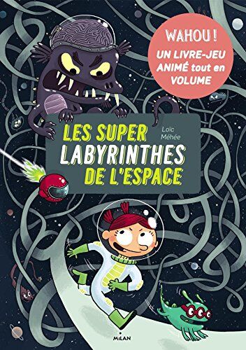 Loïc Méhée Super Labyrinthes De L'Espace