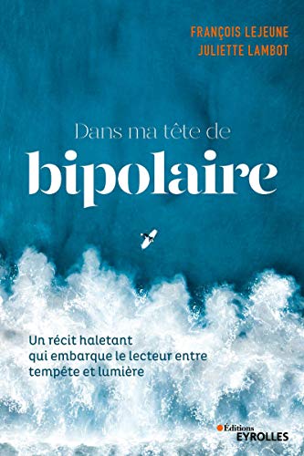 Dans Ma Tête De Bipolaire: Un Récit Haletant Qui Embarque Le Lecteur Entre Pénombre Et Lumière (Eyrolles)