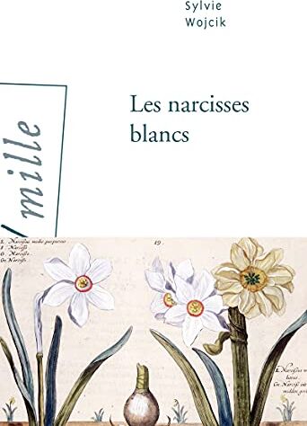 Sylvie Wojcik Les Narcisses Blancs