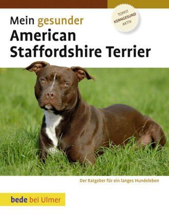 Robert Williams Mein Gesunder American Staffordshire Terrier