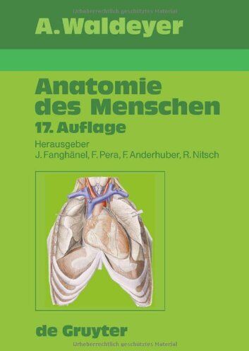 Anton Waldeyer Anatomie Des Menschen