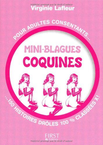 Virginie Lafleur Mini-Blagues Coquines : Pour Adultes Consentants, 150 Histoires Drôles 100% Classées X!