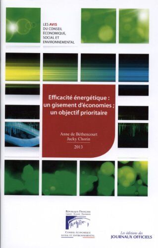 Conseil économique social et environnemental (CESE) Efficacité Énergétique: Un Gisement D'Économies; Un Objectif Prioritaire