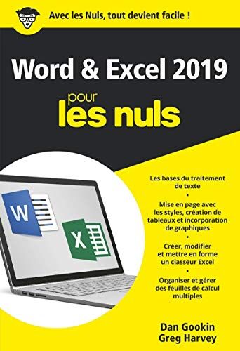 Word Et Excel 2019 Poche Pour Les Nuls