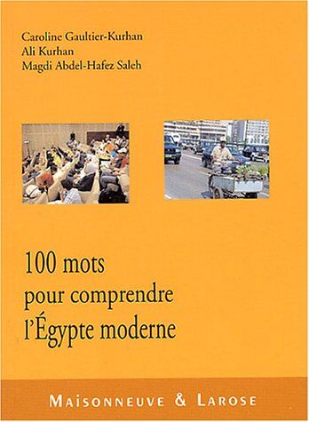 Caroline Gaultier-Kurhan Cent Mots Pour Comprendre L'Egypte Moderne