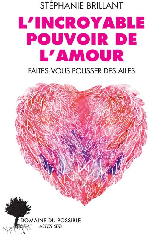 Stéphanie Brillant L'Incroyable Pouvoir De L'Amour: Faîtes-Vous Pousser Des Ailes