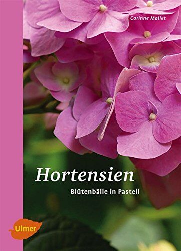 Corinne Mallet Hortensien: Blütenbälle In Pastell