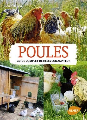 Hervé Husson Poules : Guide Complet De L'Éleveur Amateur