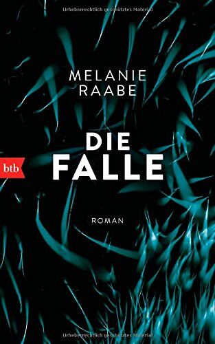 Melanie Raabe Die Falle: Roman
