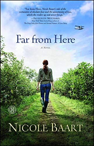 Nicole Baart Far From Here: A Novel