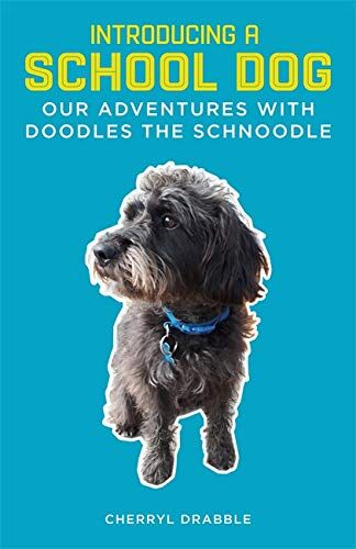 Drabble Introducing A School Dog: Our Adventures With Doodles The Schnoodle