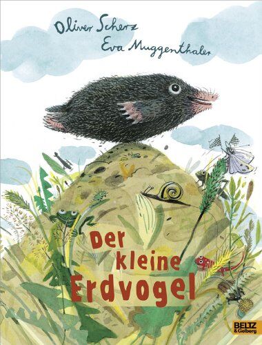 Oliver Scherz Der Kleine Erdvogel: Vierfarbiges Bilderbuch