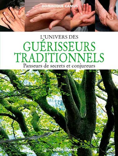 Dominique Camus L'Univers Des Guérisseurs Traditionnels