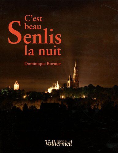 Dominique Bornier C'Est Beau Senlis La Nuit