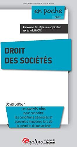 David Calfoun Droit Des Sociétés: Panorama Des Règles En Application Après La Loi Pacte