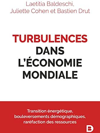 Laetitia Baldeschi Turbulences Dans L'Économie Mondiale: Transition Énergétique, Bouleversements Démographiques, Raréfaction Des Ressources