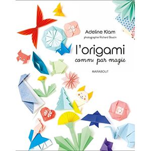 unbekannt L'Origami Comme Par Magie