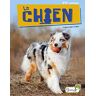 Le Chien (P'Tit Curieux)