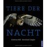 Dietmar Nill Tiere Der Nacht