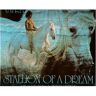 Robert Vavra Stallion Of A Dream