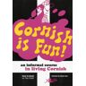 Heini Gruffudd Cornish Is Fun: An Informal Course In Living Cornish