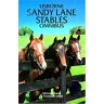 Michelle Bates Sandy Lane Stables Omnibus: Horse For The Summer, Runaway Pony, Strangers At The Stables (Sandy Lane Stables Series)