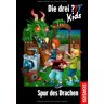 Ulf Blanck Die Drei ??? Kids / Spur Des Drachen