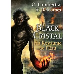 Stéphane Descornes Black Cristal, Tome 2 : Au Royaume De L'Eau