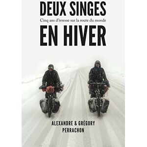 Deux Singes En Hiver