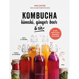 Marie Senterre Kombucha, Kimchi, Ginger Beer & Cie: 50 Sodas,